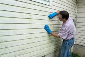 Best Siding Painting and Refinishing  in Roaming Shores, OH